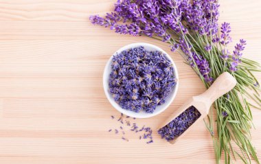 Güzel kokulu lavanta çiçekleri