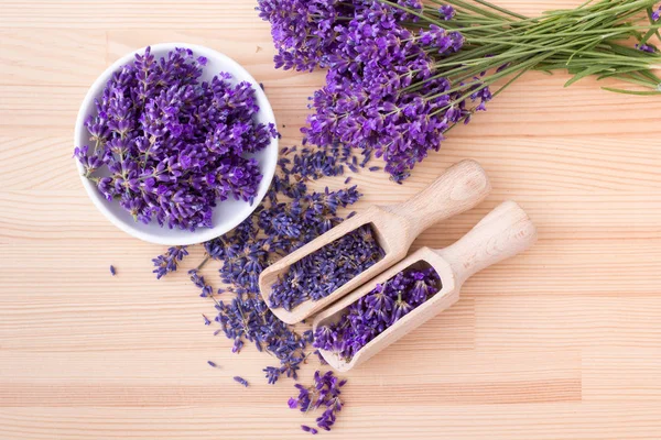 Fragrant lavender blossoms — Stock Photo, Image