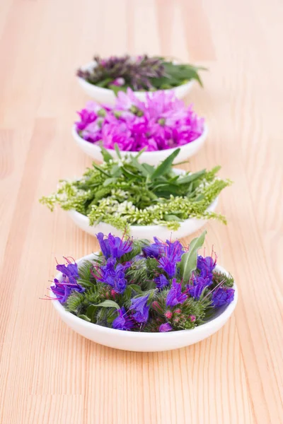 Edible herb flowers — Stock Photo, Image