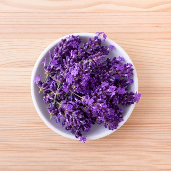 Fresh lavender blossoms — Stock Photo, Image