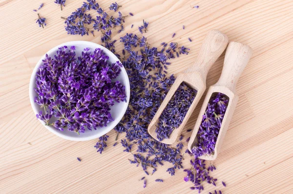 Violeta flores de lavanda — Foto de Stock