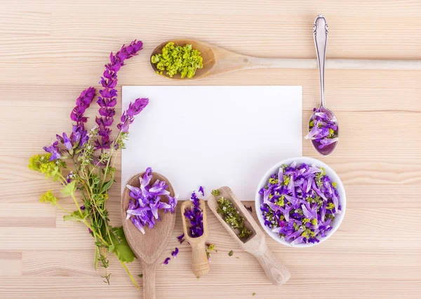 Violett, ätliga blommor — Stockfoto