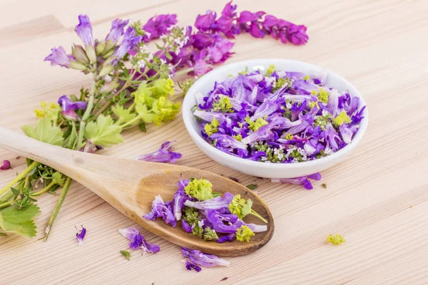 Violeta, flores comestibles — Foto de Stock