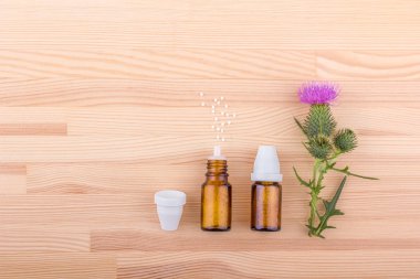 Mary thistle, homeopatik tıp 