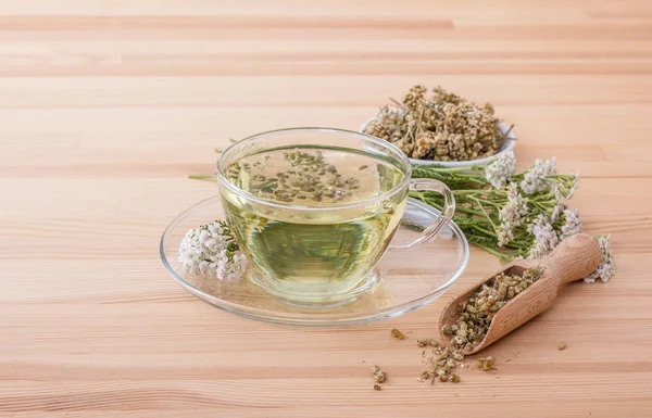 Fresh herbal tea — Stock Photo, Image