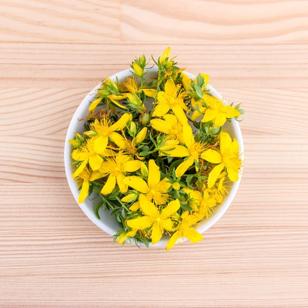 St. John's wort — Stock Photo, Image