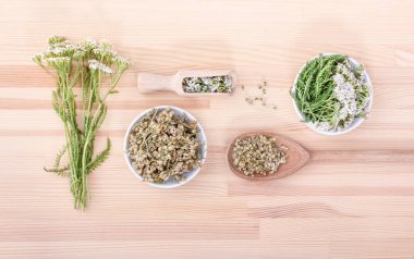 civanperçemi çayı maddeler / ana sayfa görünümü taze ve kurutulmuş çiçeklerin ve civanperçemi yaprakları kaşıklarla ve kase ile ahşap bir arka plan