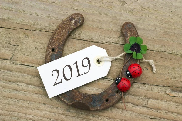 Nouvel 2019 Carte Nouvel Avec Fer Cheval Trèfle Feuilles Coccinelles — Photo