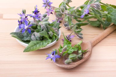 bowl with starflower / Bowl and wooden spoon with Borage on a wooden background  clipart