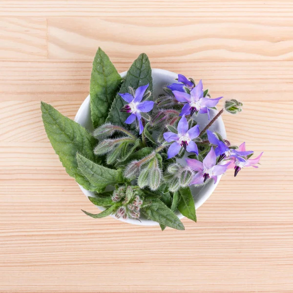 Ciotola Con Starflower Vista Dall Alto Una Ciotola Con Borragine — Foto Stock