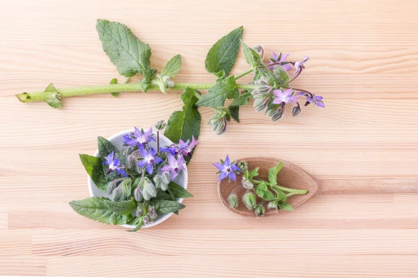 bee bread / top view of Bowl and wooden spoon with Borage on a wooden background