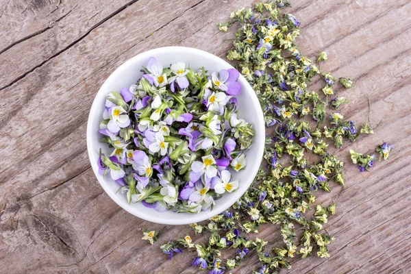 Mall Violett Styvmorsviol Top View Vit Skål Med Färska Och — Stockfoto