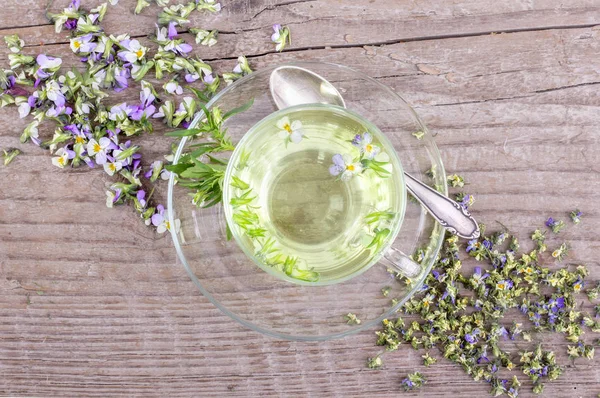 Herbal Tea Heartsease Top View Cup Tea Fresh Dried Flowers — Stock Photo, Image