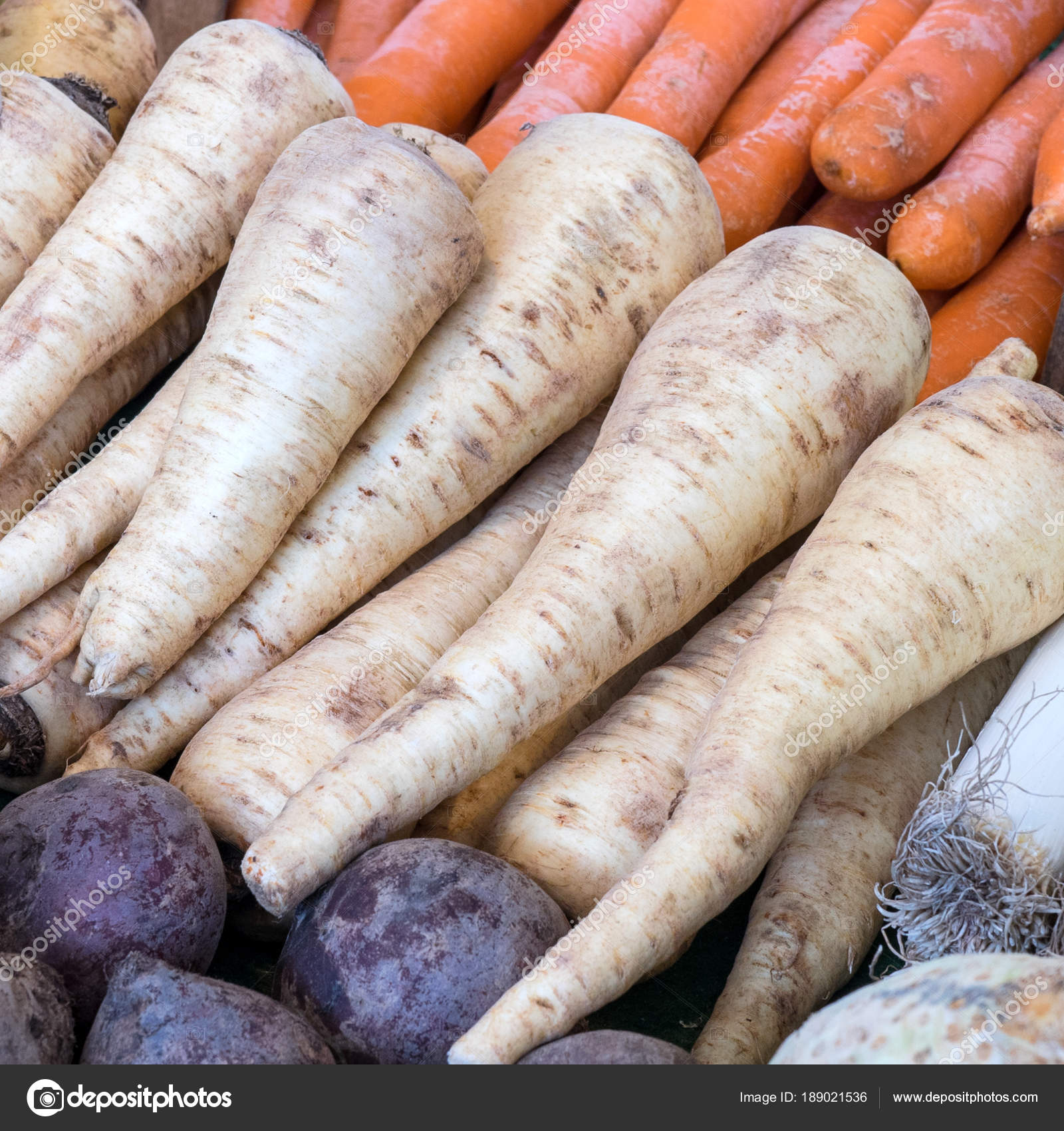Pancar ile horseradish pişirmek nasıl Pancar ile horseradish pişirmek nasıl