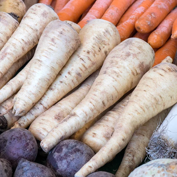 新鮮な根野菜 新鮮な毎週市場でビート ニンジン パースニップ — ストック写真