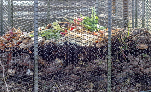 colorful compost pile / Compost heaps with kitchen waste such as vegetable peel, fruit bowls, flowers, coffee filters and egg shells