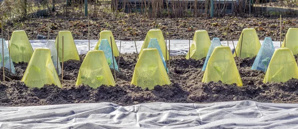 Letto Vegetale Primavera Con Coperte Pile Giardino — Foto Stock