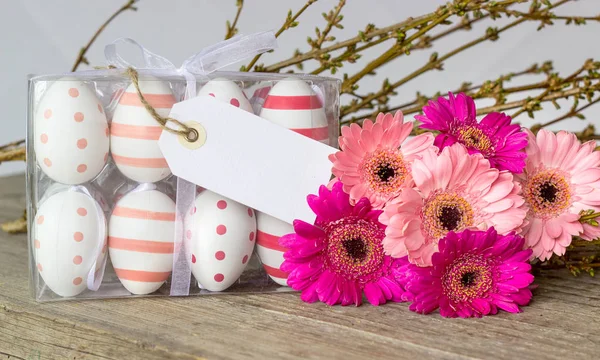 Œufs Pâques Pois Rayures Avec Gerbera Rose Espace Copie Blanc — Photo