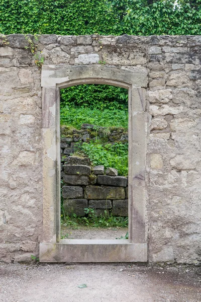 Wall Park Passage Green Hedge Background — Stock Photo, Image