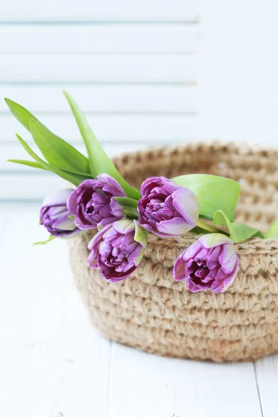 Knitted basket of jute with purple tulips on a white background.