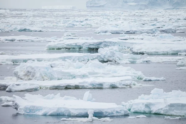 Распад Льда Антарктике — стоковое фото