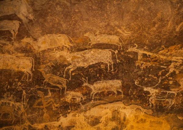 Bhimbetka kaya sığınakları