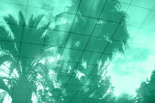 Palm tree reflections in pool water in trending green color