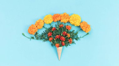 Bebek mavisi arka planda turuncu sonbahar çiçekleri