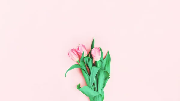 Kytice růžových tulipánů na růžové — Stock fotografie