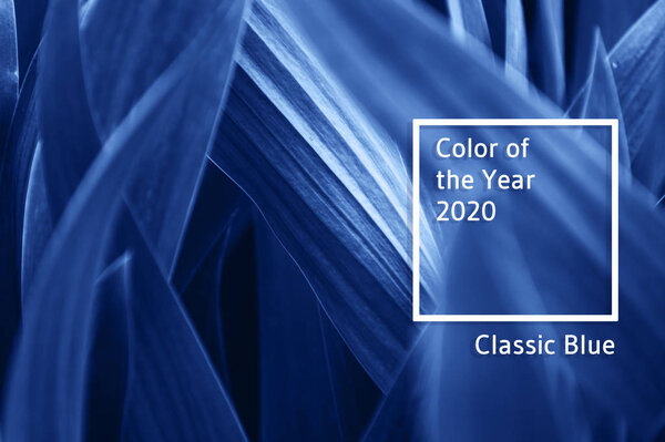 Background of fresh leaves toned blue.