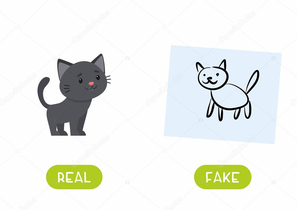 Cat drawing  and cat real illustration with typography. Real and fake antonyms word card vector template. Flashcard for english language learning with flat character. Opposites concept. 