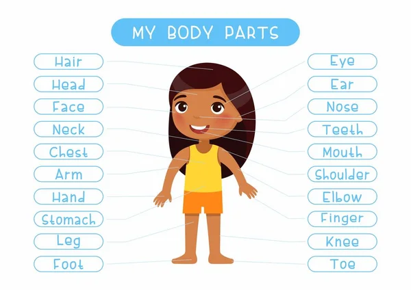 My body parts educational infographic kids poster vector template. Cute girl showing external organs names. Cartoon anatomy childish printable banner design, english words learning card layout