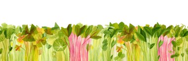 Bitkilerin suluboya yatay arka plan filizleri. Mevsimlik bezelye, oksalis, pancar, nasturtium, turp, fesleğen, kişniş, çok renkli mahsul. Taze mikroçim, su teresi salatası. Bahçe sezonu arkaplanı