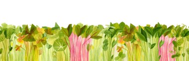 Sprouts of plants  watercolor horizontal background. Seasonal pea, oxalis, beet, nasturtium, radish,  basil, coriander  multicolored crops. Fresh microgreens, watercress salad. Garden season backdrop clipart