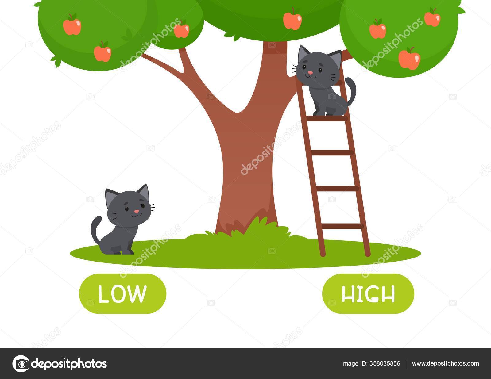 51 Foreign White Cat Vector Images Foreign White Cat Illustrations Depositphotos 51 Foreign White Cat Vector Images Foreign White Cat Illustrations Depositphotos