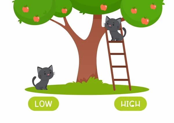 黑猫站在梯子上 猫站在苹果树旁边 图文并茂 低反义词词卡向量模板 英语学习用的卡片 相反的概念 — 图库矢量图片