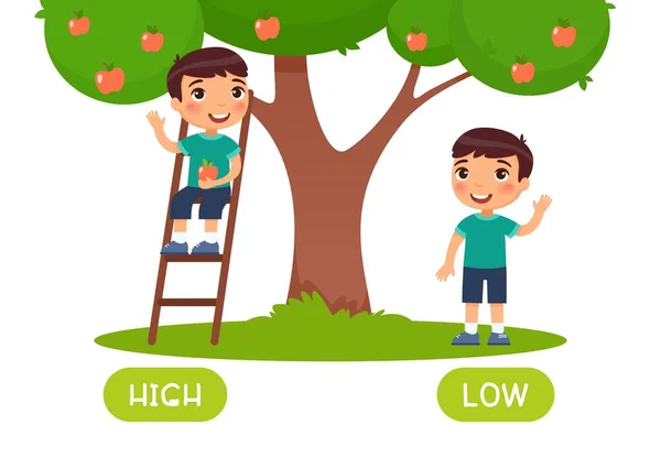 低反义词词卡向量模板 英语学习用的卡片 相反的概念 男孩站在梯子上 用排版法从树形图上摘苹果 — 图库矢量图片
