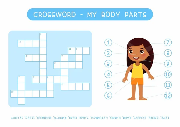 Body Parts Crossword Flat Vector Template Learning Human Anatomy Kids — 스톡 벡터