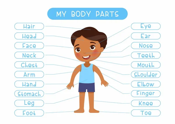 Body Parts Educational Infographic Kids Poster Vector Template Cute Boy — Stock Vector