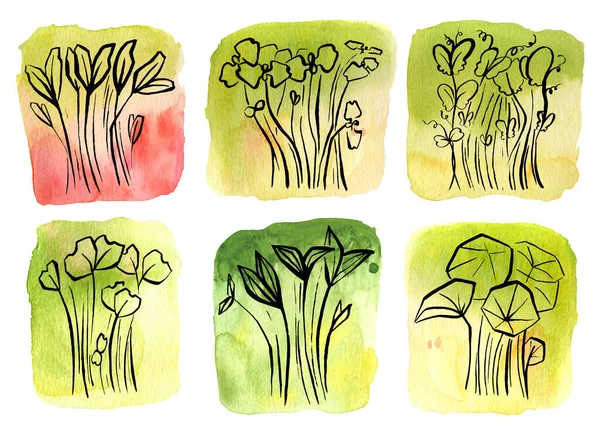 수채화의 배경에 식물이다 계절적 완두콩 안데르 색깔의 마이크로 샐러드 정원의 — 스톡 사진