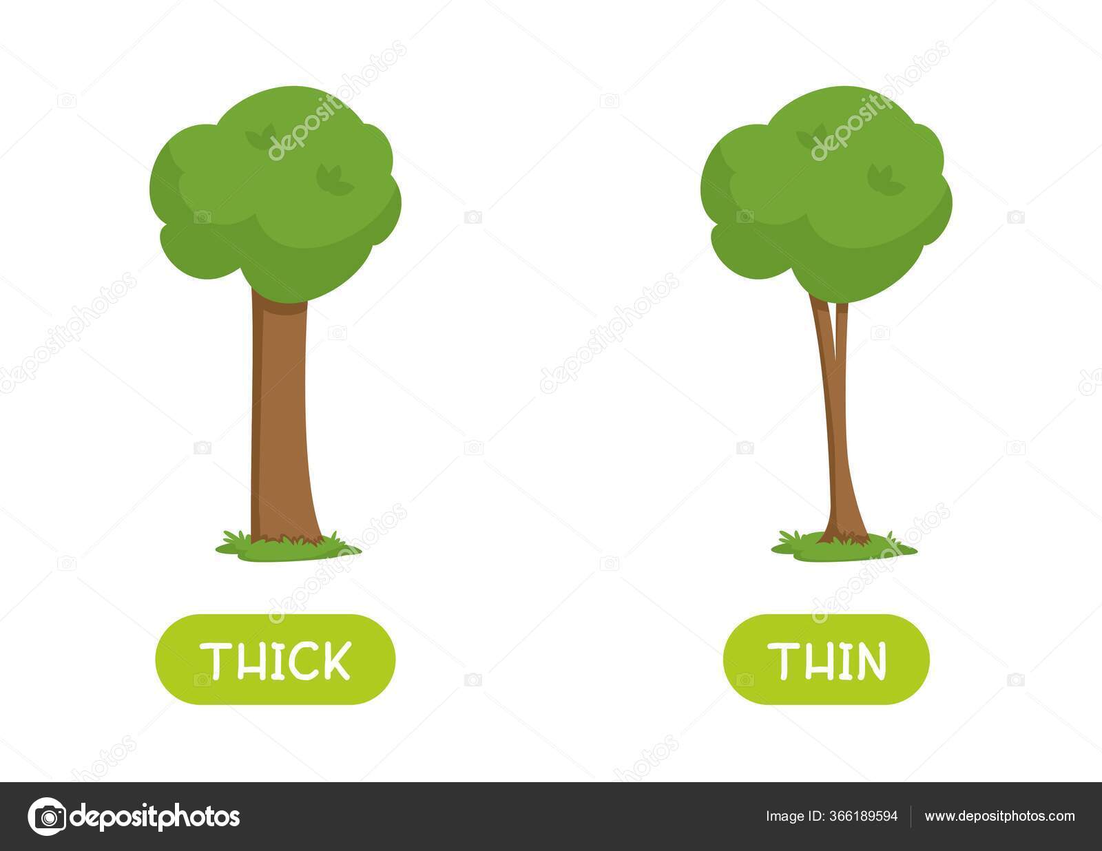 Понятие Fonyms Thick Thin Образовательная Флеш Карта Деревьями.