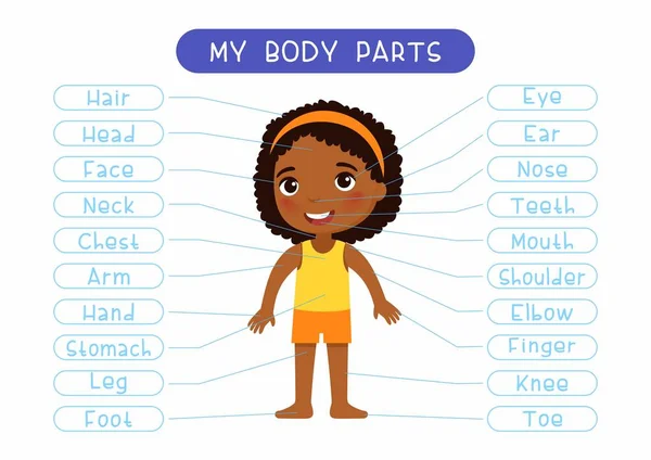Meine Körperteile Bildungsinfografik Kinder Poster Nettes Kleines Afrikanisches Mädchen Mit — Stockvektor