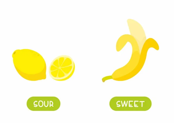 アントニムスのコンセプト SourとSweet 異なる味のテンプレートの果物と教育用フラッシュカード バナナとレモン 反対者と英語学習のためのワードカード 平文ベクトル図 — ストックベクタ