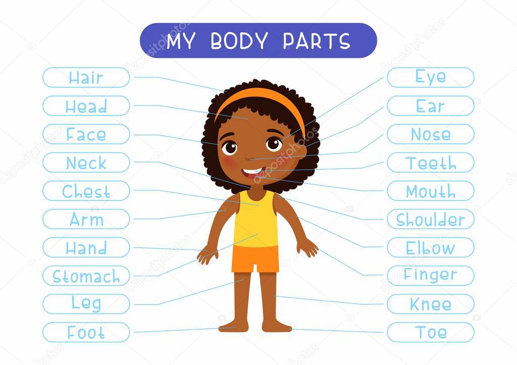 My body parts educational infographic kids poster. Cute african little girl showing external organs names. Cartoon anatomy childish printable banner design, english words learning card layout