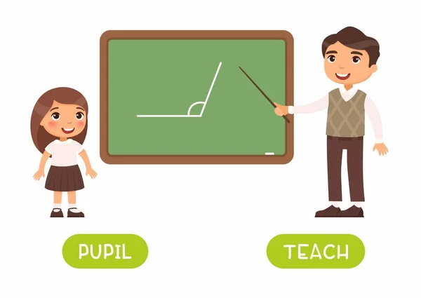 Plantilla Vectorial Antónimos Para Alumnos Profesores Tarjeta Texto Para Aprendizaje — Vector de stock