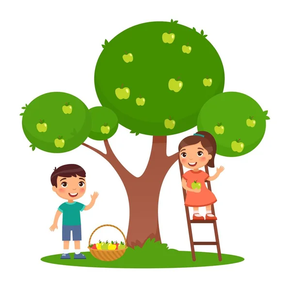 Barn Plockar Äpplen Färg Platt Vektor Illustration Liten Pojke Och — Stock vektor