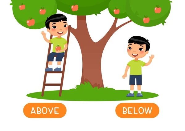 在反义词词卡向量模板的上方和下方 英语学习用的卡片 相反的概念 亚洲小男孩坐在梯子上 站在树下 图上有字体 — 图库矢量图片