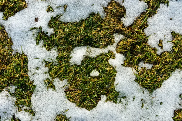 Weißen Schnee mit grünem Rasengras in Nahaufnahme schmelzen lassen. Hintergrund — Stockfoto