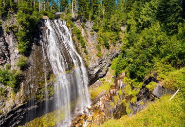 Mount Rainier Narada Falls