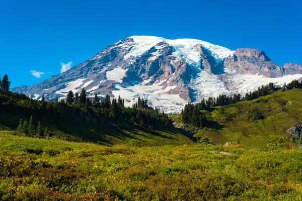 Summit of Mt. Rainier above high meadows — Stock Photo, Image
